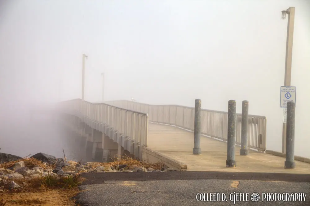View of dock in fog